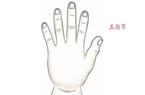 五指节