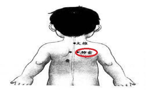 小儿肺俞