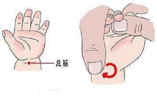 总筋