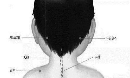 耳后高骨