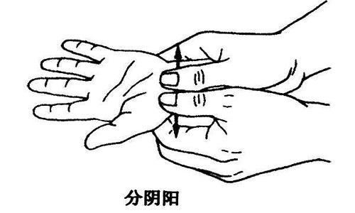 分阴阳