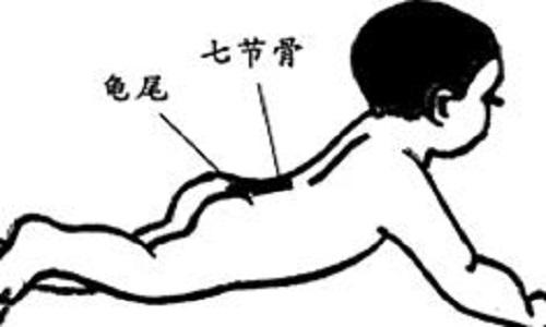 龟尾