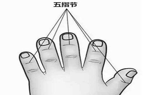 五指节