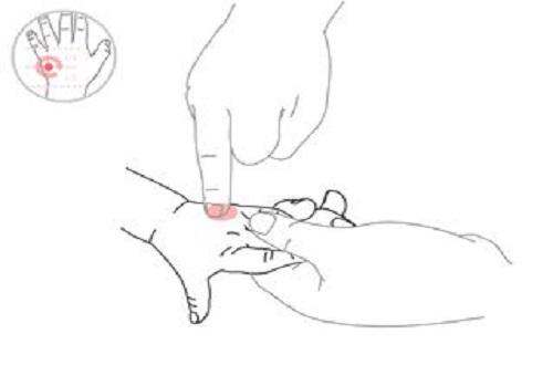 二人上马
