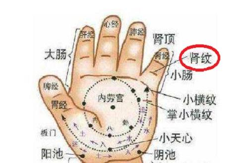小儿推拿肾纹