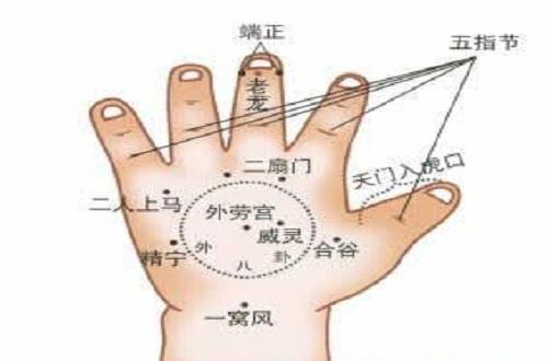 五指节