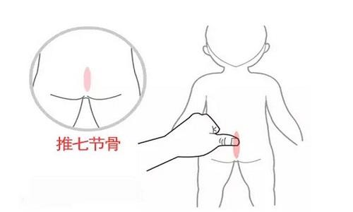 七节骨