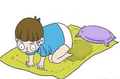 补肾经