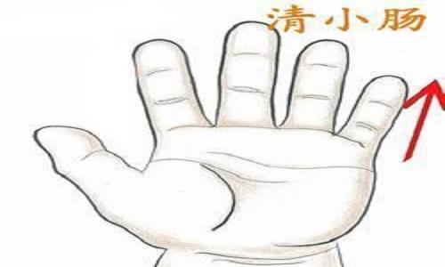 清小肠经