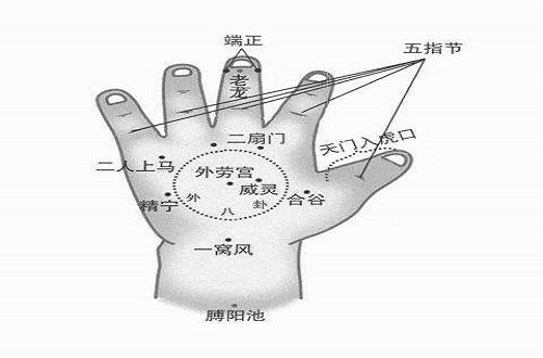 外劳宫