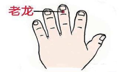 掐老龙