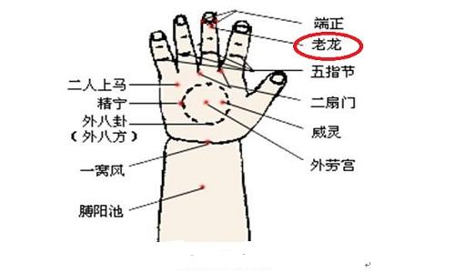 掐老龙