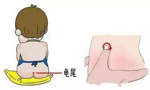 龟尾