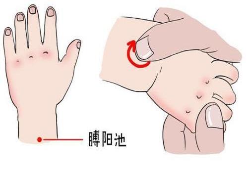 膊阳池