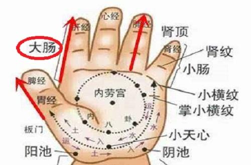 小儿推拿清大肠