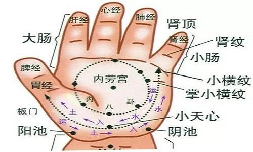 小儿肝经
