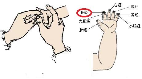小儿肝经