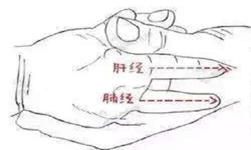 小孩治疗鼻出血推拿