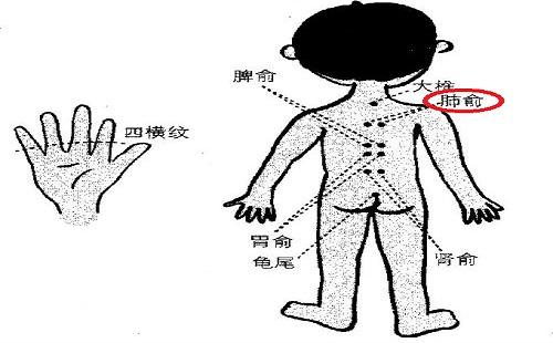 小儿肺俞