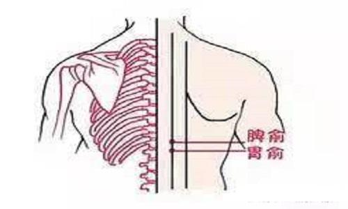 小儿推拿脾俞