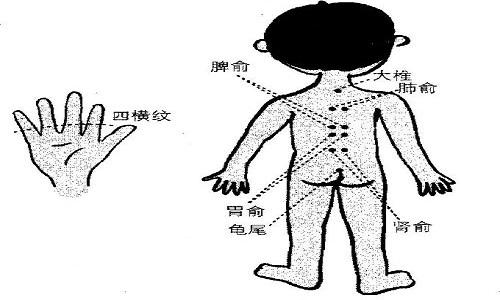 小儿推拿脾俞