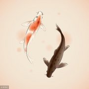 中医体质养生方法快来看看自己是什么体质？