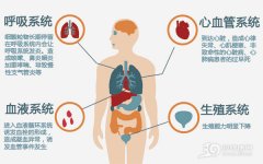 秋冬易出现雾霾天气 什么时间运动最好？