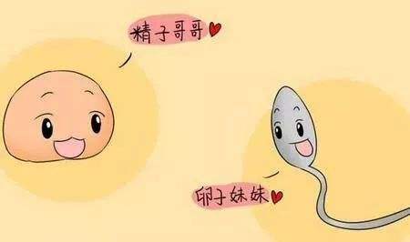 养成这些生活习惯，让你保持“精”力旺盛