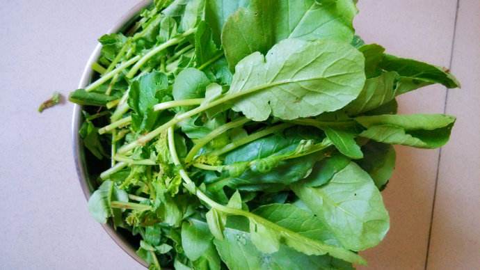 不该被丢弃的菜叶 这菜叶竟能除口臭