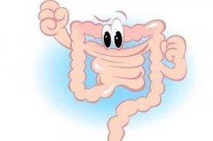 排便可以看出肠道健康状况？大便符合这四个条